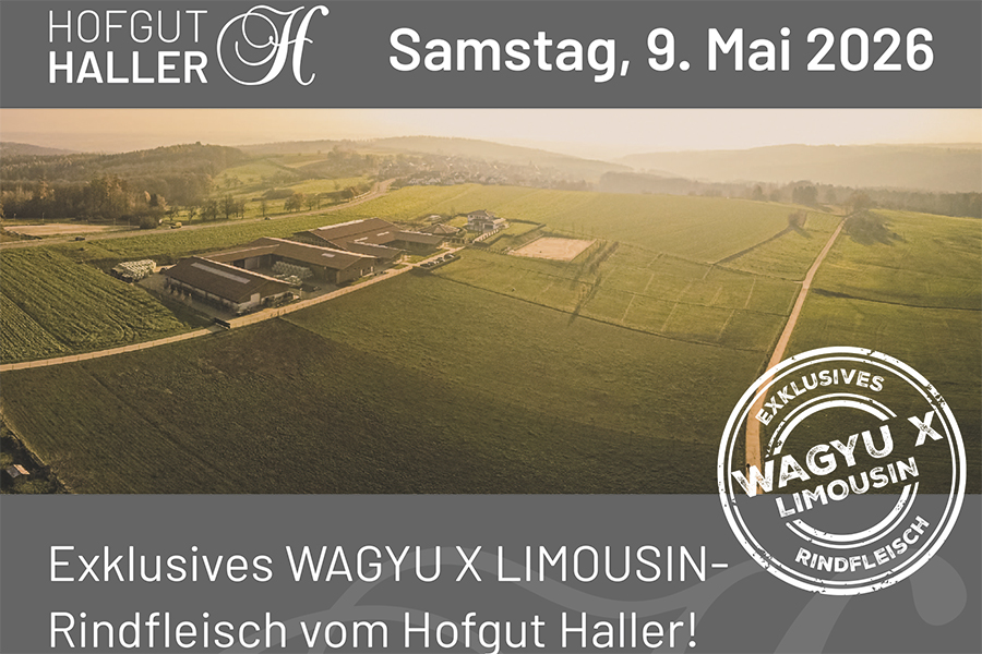 Exclusives WAGYU X LIMOUSIN Rindfleisch