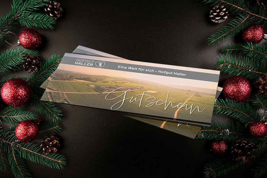 Geschenk-Idee zu Weihnachten - unsere Gutscheine