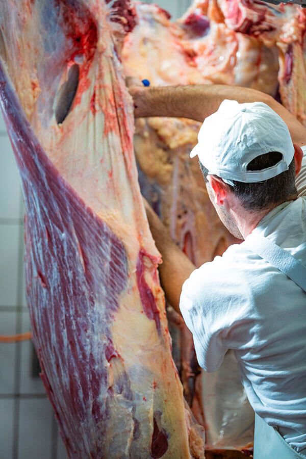 Fachmännische Zerlegung