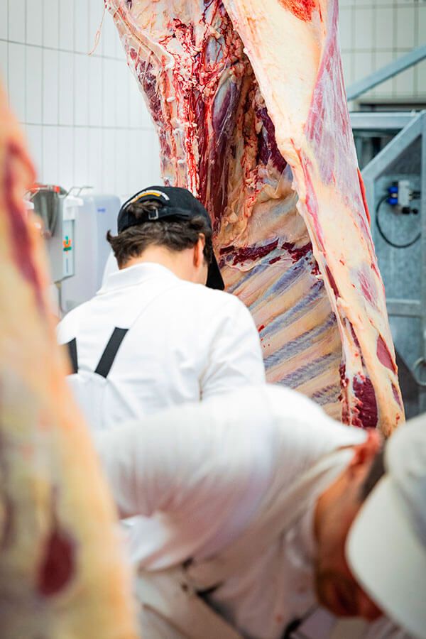 Tierwohl bis zum Schluss