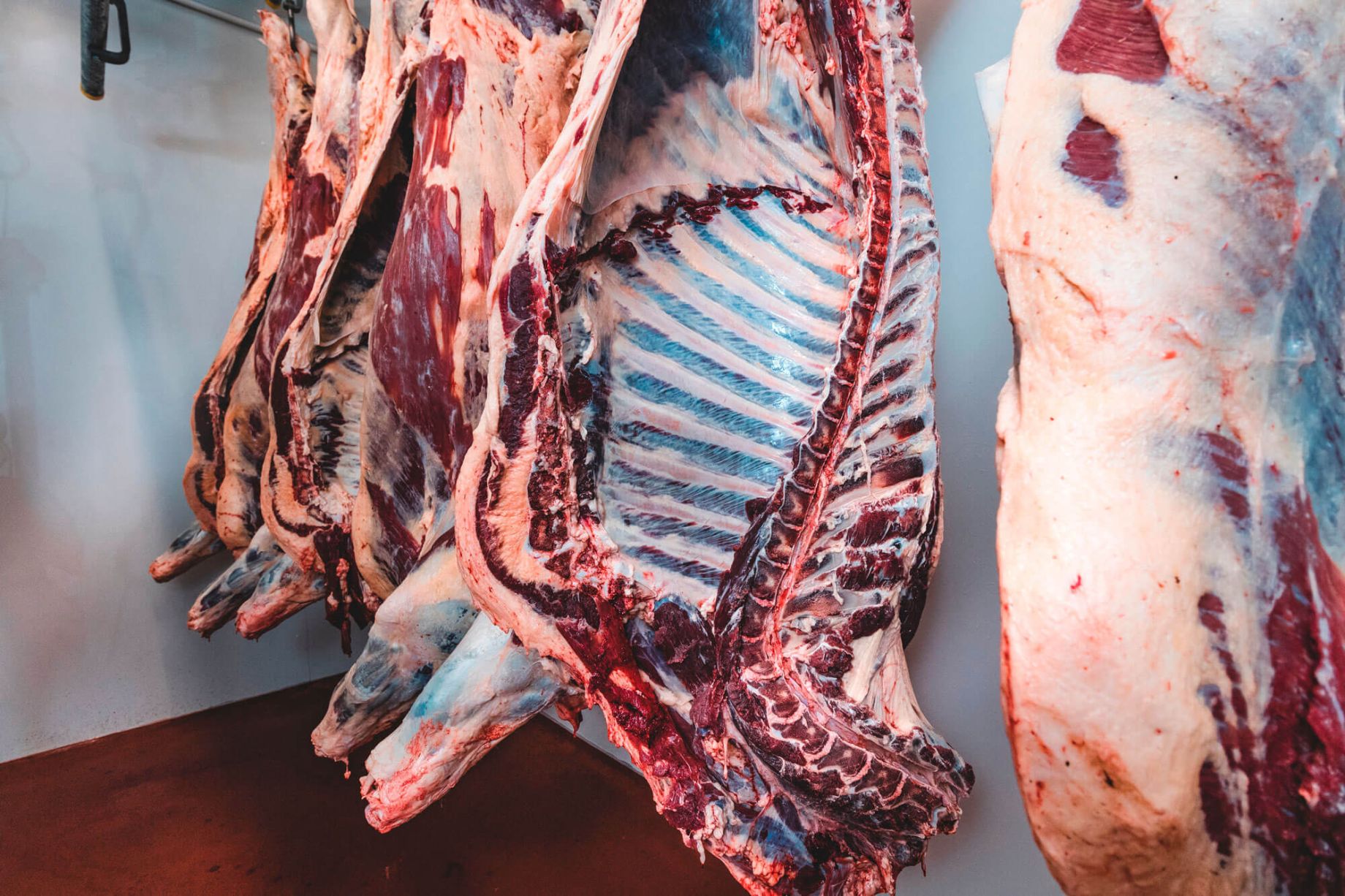 Schlachtung direkt am Hof